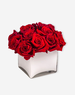 Rose - Red
